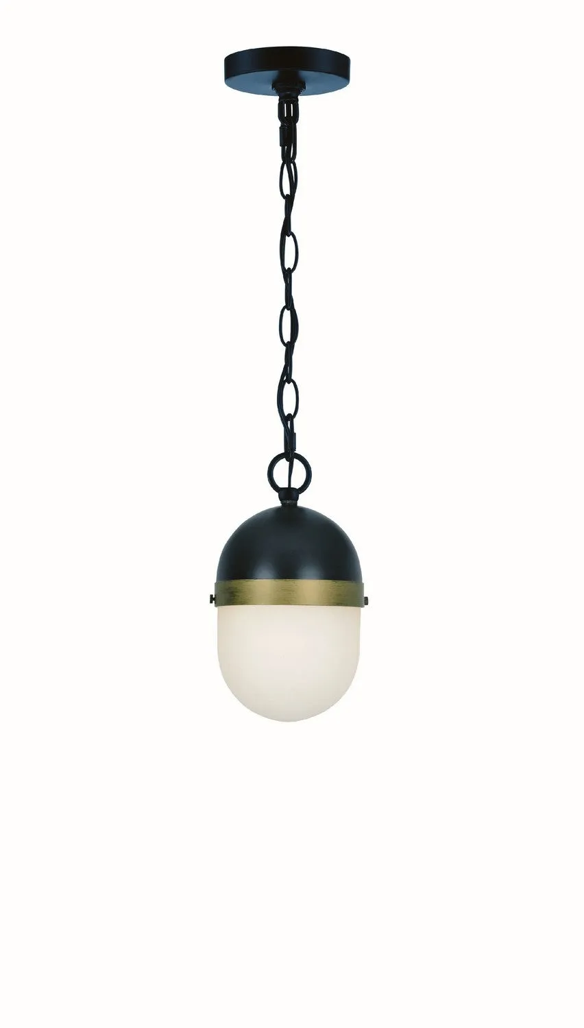 Capsule 1-Light Outdoor Pendant in Matte Black / Textured Gold