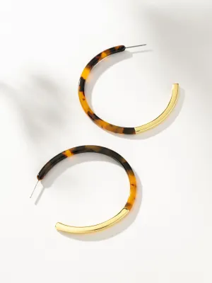 Franklin Tortoise Hoops