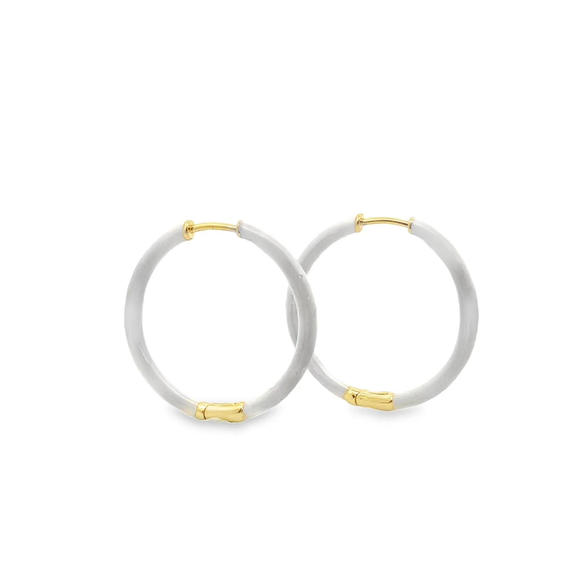 Modern Dark Off-Pastel Colored Hoops (L555)